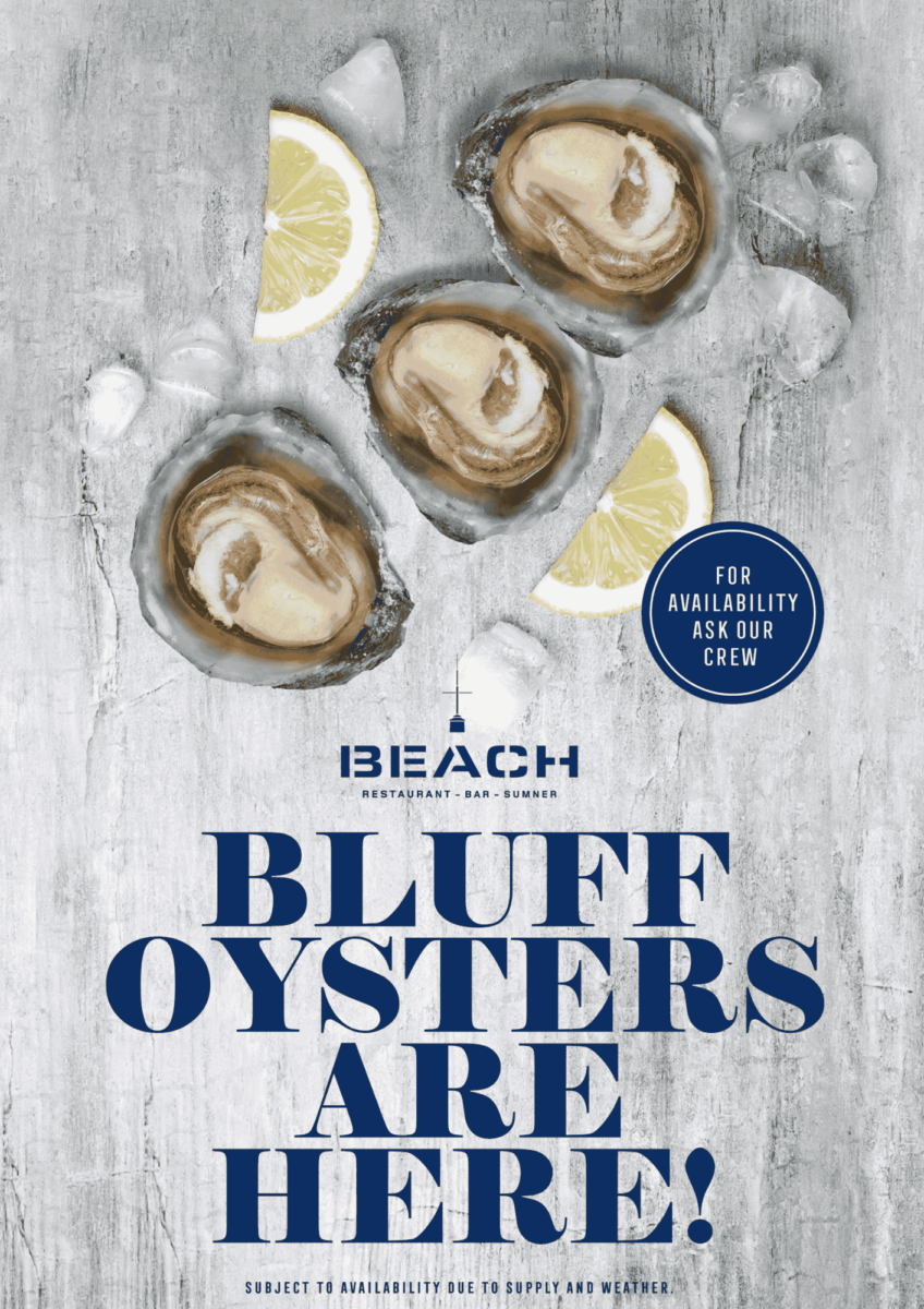 Bea Bluff Oysters Available Web Friendl