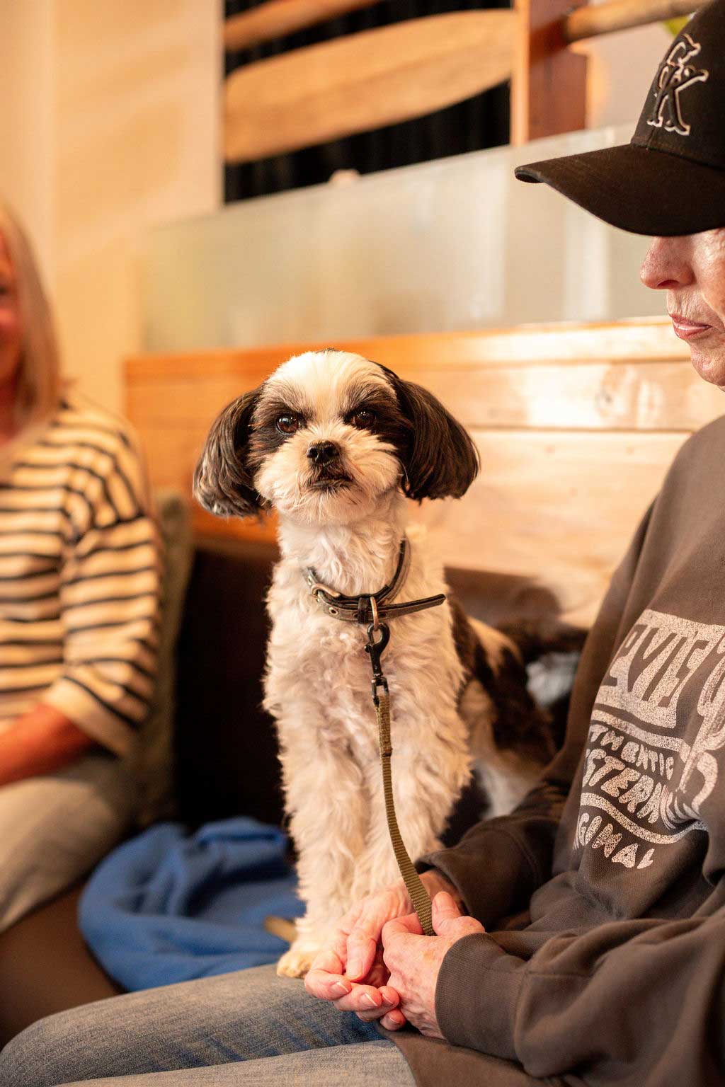Bb Dog Friendly 0341